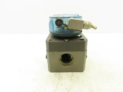 Itron Delta G25 Rotary Volumetric Flow Meter DN40 1.5"npt 232psi 9-Digit Index