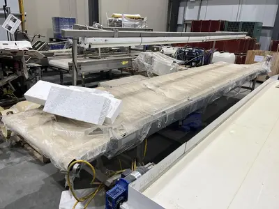 19ft Inspection Conveyor