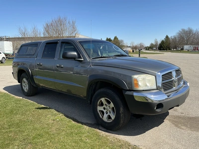 Used 2005 DODGE DAKOTA Pickup Trucks Michigan US | Miedema Asset Management Group #1413866