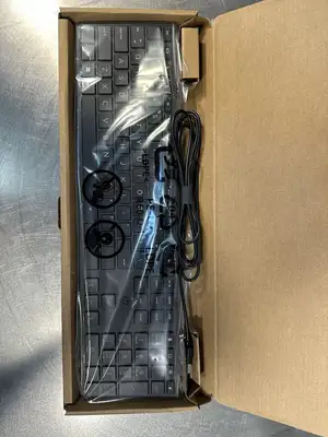 New HP Wired Desktop 320K Keyboard Wired Keyboard L96909-001 (BIN-1.3.4)