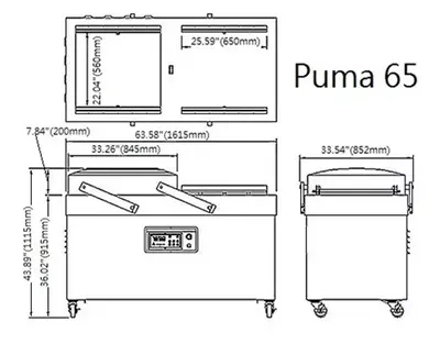 RAM Model 65 Puma Double Chamber Vacuum Packaging Machine