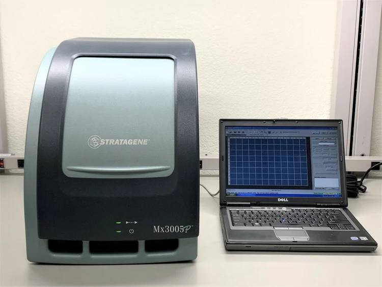Used Agilent Stratagene Mx3005p Biotechnology Missouri US | BioLabTek #805562