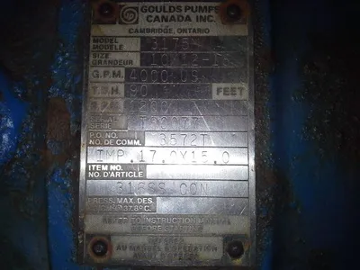 USED Goulds 3175