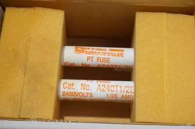 2 NEW FERRAZ SHAWMUT A240T1 / 2E FUSES A240T12E