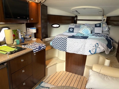 Used 2013 CRUISERS YACHTS 350 EXPRESS Boats (Misc) Virginia US | Affordable Outdoors #1637964