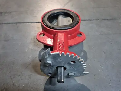 3" Butterfly Valve