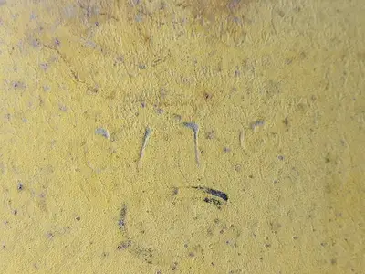 USED CATERPILLAR 6Y-5539