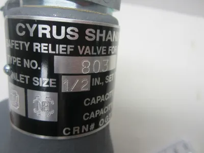 New Cyrus Shank Company No.803 Relief Valve 250#