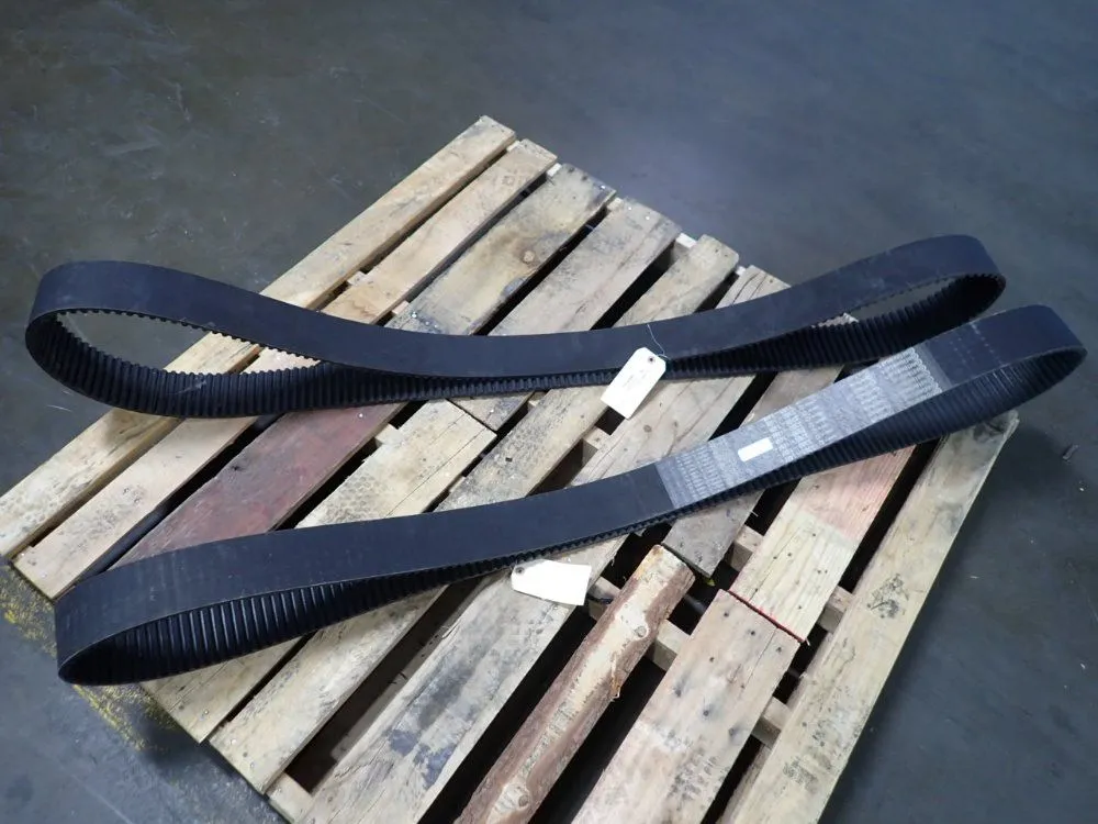 Used CONTINENTAL CONTITECH / 336014M Belts | HGR 24 #749184