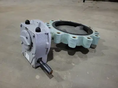 10" Class 150 Butterfly Valve B16.34