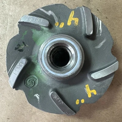 USED Goulds 76781