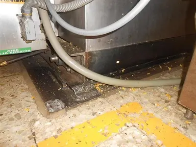 Haas 80 Plate Wafer Oven Complete Wafer Line