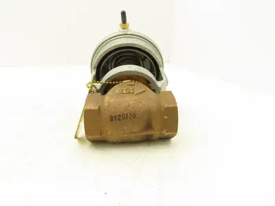 Johnson Controls 1PVG7241LT+3008B0 Control Valve Diaphragm 3/4NPT 250psi