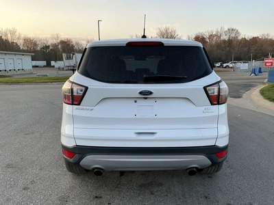 Used 2017 FORD ESCAPE Utility Vehicles Michigan US | Miedema Asset Management Group #1732719