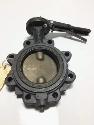 Crane 167898785 Lug Style Butterfly Valve 5″