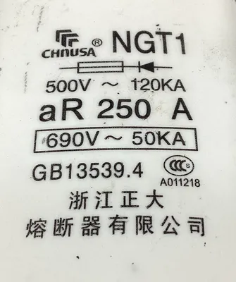 CHNUSA NGT1 690V 250A FUSE. 4C-43