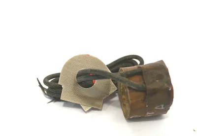 NEW ASCO 101-899-1-D COIL 1018991D