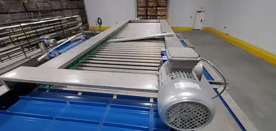 USED 2022 ALLAROUND VEGETABEL PROCESSING RADIAL GRADER ELK 275-125-130-40 P 1