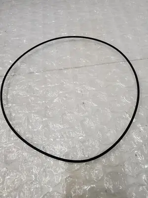 NEW O RING Q734008835 001