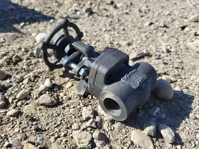 1/2" Class 800 Gate Valve API 602