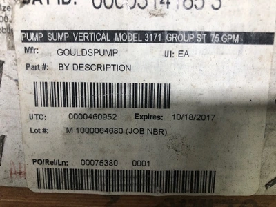 USED Goulds 3171
