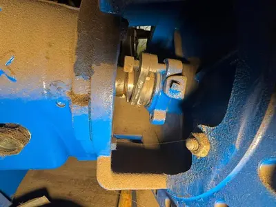 USED GOULDS 3196