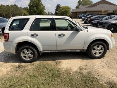 Used 2009 FORD ESCAPE SUVs Michigan US | Miedema Asset Management Group #1414381