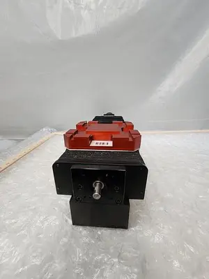 LINTECH M1-112408 Rodless Actuator WITH 23D-6209A