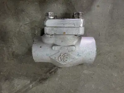 2" Class 800 Piston Check Valve API 602