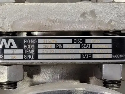 3", Class 150, Check Valve, B16.34