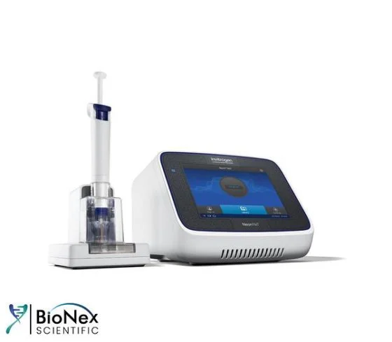 Used INVITROGEN NEON NXT Biotechnology New Jersey US | Bionex Scientific LLC #800676