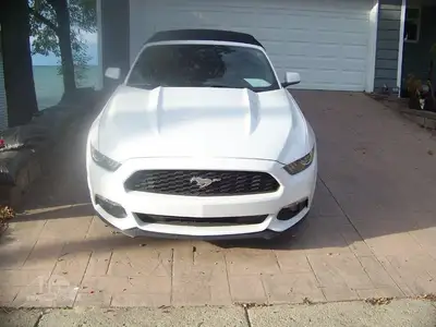 Used FORD MUSTANG Cars Michigan US | NAS Sales #1557820