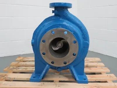 USED Goulds 3175