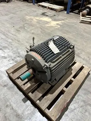 USED EMERSON SQUIRREL CAGE