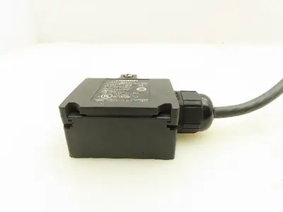 OMRON D4N-5B32 Safety Limit Switch AC 240VAC DC 250VDC 27A Lot Of 2