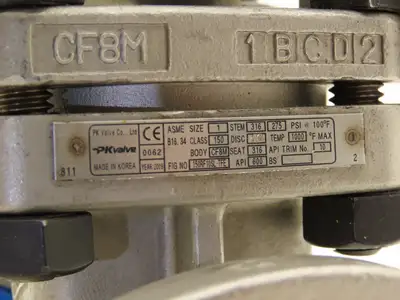 PK Valve 150RF10SL-TFE Stainless Gate Valve 1" Flanged 275psi Rising Stem