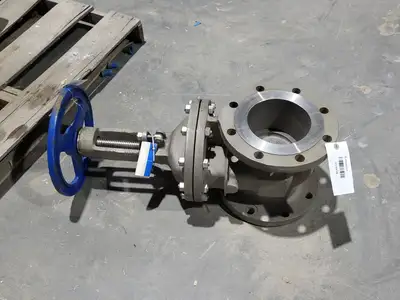 Used DSI VALVES API 603 Valves/Fittings British Columbia CA | Lenmark #914829