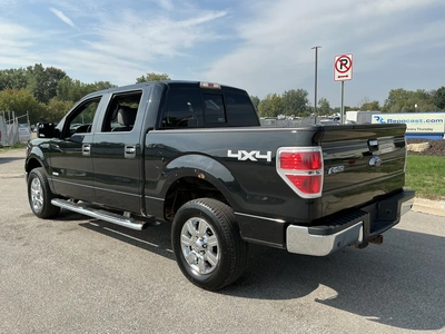 Used 2012 FORD F-150 Pickup Trucks Michigan US | Miedema Asset Management Group #1413888