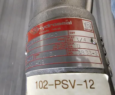 USED LEE INDUSTRIES INC. 250L DP