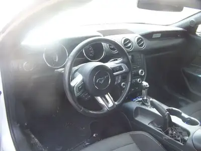 Used FORD MUSTANG Cars Michigan US | NAS Sales #1557820