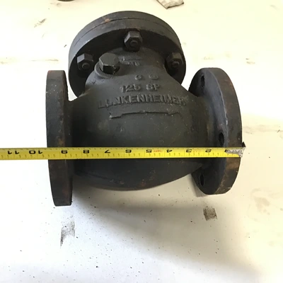 Lunkenheimer 125 SP Swing Check Valve 3″ Backflow Preventer