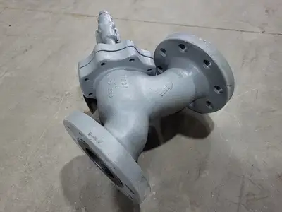 3" Fig 34 Y-Type Strainer w/ 3/4" Class 800 Gate Valve C-2054B-02TY