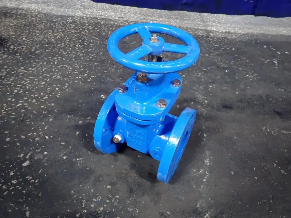 Gate Valve