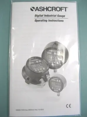 NEW Ashcroft 45207SD02L300