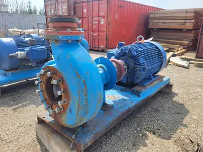 USED GOULDS 3196