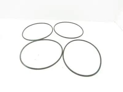 Viton 75 Duro Black O-Ring  1/4" x 9-1/2" ID x 10" OD  Lot of 4