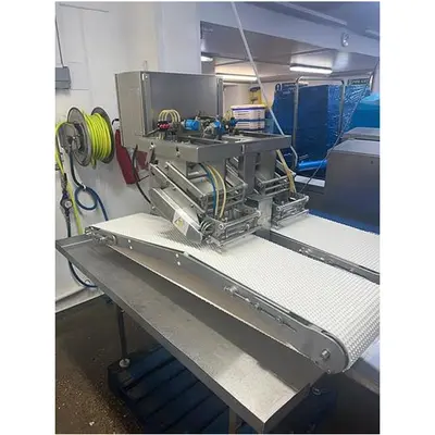 Used Marel _UNKNOWN_ Slicers / Dicers / Cutters | ISCA #1298929