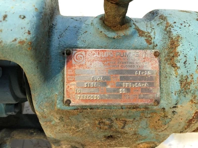 USED GOULDS 3196ST