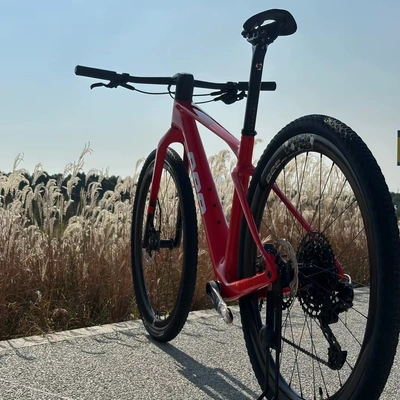 NEW BeeBIKE 29er Full Carbon Fiber Mountain Bike SRAM NX 12 Speed Groupset BeeBIKE 29er Full Carbon Fiber Mountain Bike SRAM NX 12 Speed Groupset