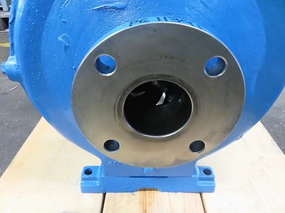 USED Goulds 3196 MTX